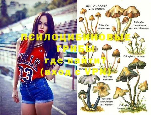 a pvp Алексин